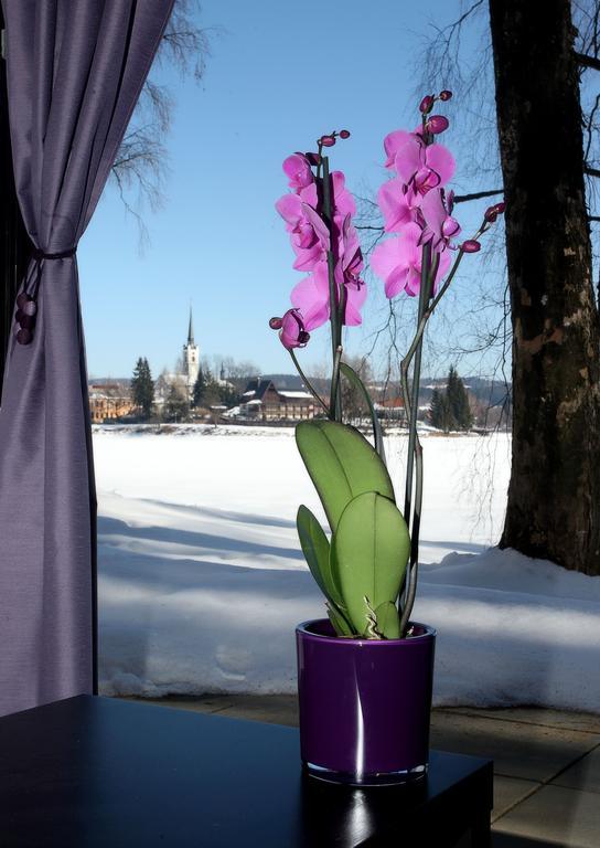 Apartmany Bella Vista Lipno Frydava ภายนอก รูปภาพ