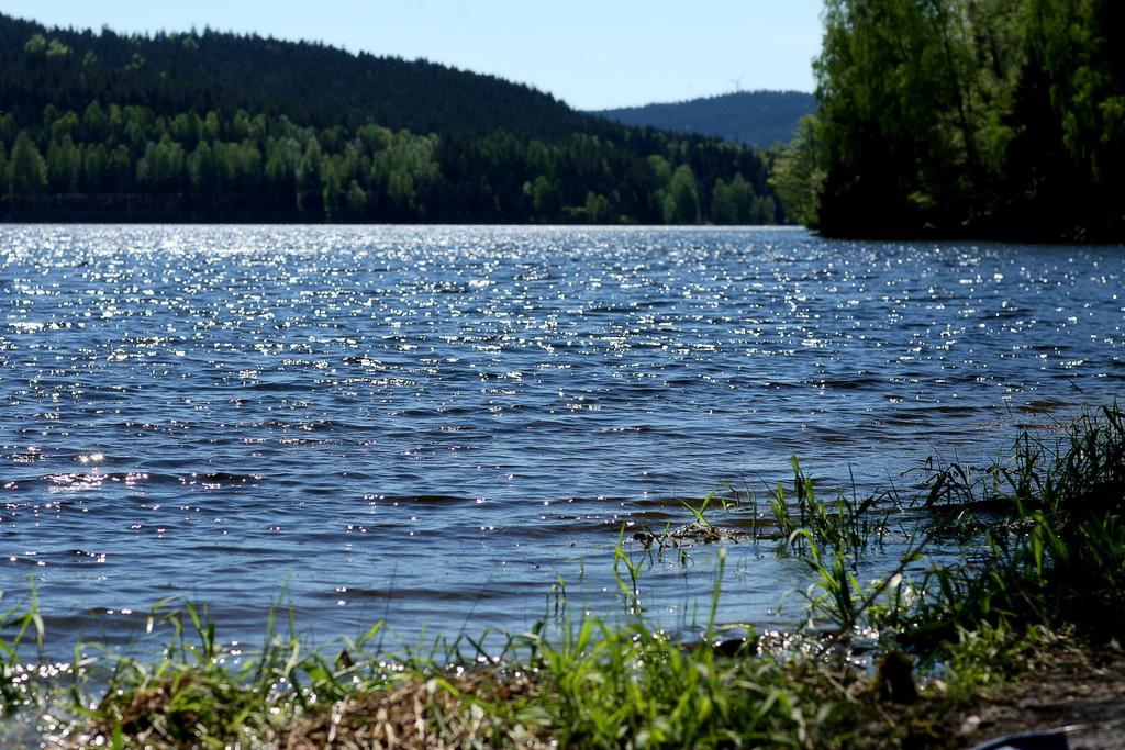 Apartmany Bella Vista Lipno Frydava ภายนอก รูปภาพ