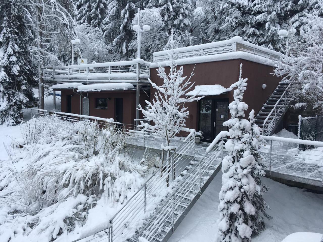 Apartmany Bella Vista Lipno Frydava ภายนอก รูปภาพ